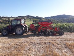 Pour Fabien Cellier, mettre en place des pratiques moins consommatrices de produits phytosanitaires est devenu une priorité.
© D.L.
Pour Fabien Cellier, mettre en place des pratiques moins consommatrices de produits phytosanitaires est devenu une priorité.
© D.L.